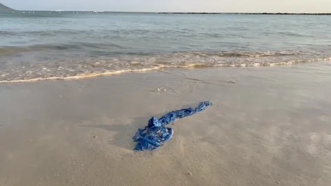 Blue plastic bag on beach Stock Footage 169388925