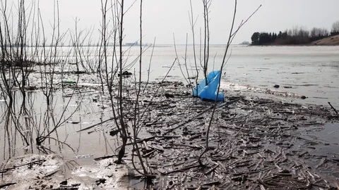 A blue plastic bag lies on the surface of the water, catching on bare branch Stock Footage 127384763