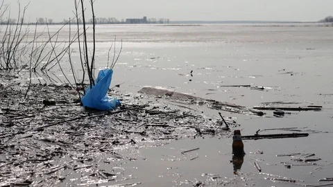 A blue plastic bag lies on the surface of the water, catching on bare branches Stock Footage 127384812