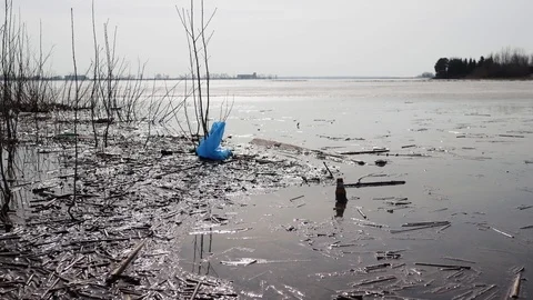 A blue plastic bag lies on the surface of the water, catching on bare branch Stock Footage 127385250