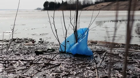 A blue plastic bag lies on the surface of the water, catching on bare branch Stock Footage 127385379
