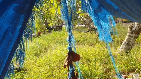 Blue plastic blown by the wind Vídeos de archivo 341954234