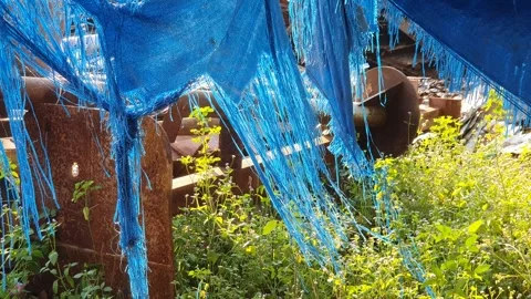 Blue plastic blown by the wind 스톡 동영상 341954334