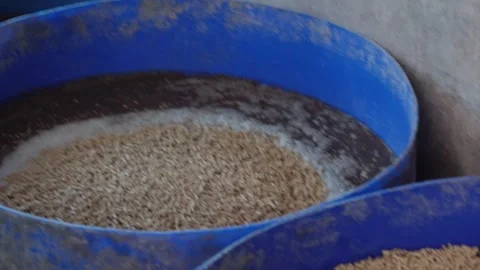 Blue Plastic Container with Animal Feed Mixture 스톡 동영상 333898095