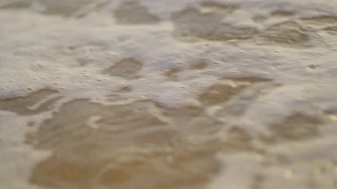 Blue plastic dolphin on the sandy beach at sunset. Stock Footage 196559148