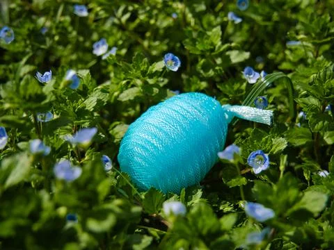 Blue Plastic nylon Easter egg among garden flowers 写真素材