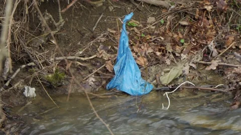 A blue plastic trash bag tangled in the branches of a tree on the river bank. Stock Footage 176266523