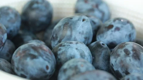 A blue plum macro Vidéo 139342634