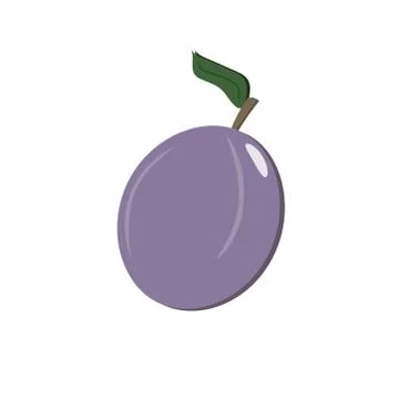 Blue plum on a white background. The fruit. Illustration. Stock Illustration