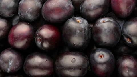 Blue plums. Washed plums. Plums, dolly shot. Stock Footage 137980209
