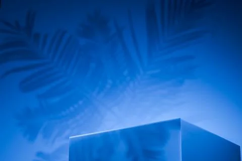 Blue podium palm leaf shadow background product presentation stage empty di.. Stock Illustration