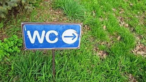 Blue pointer sign with toilet icon indicating direction on green grass Stock Footage 337653907