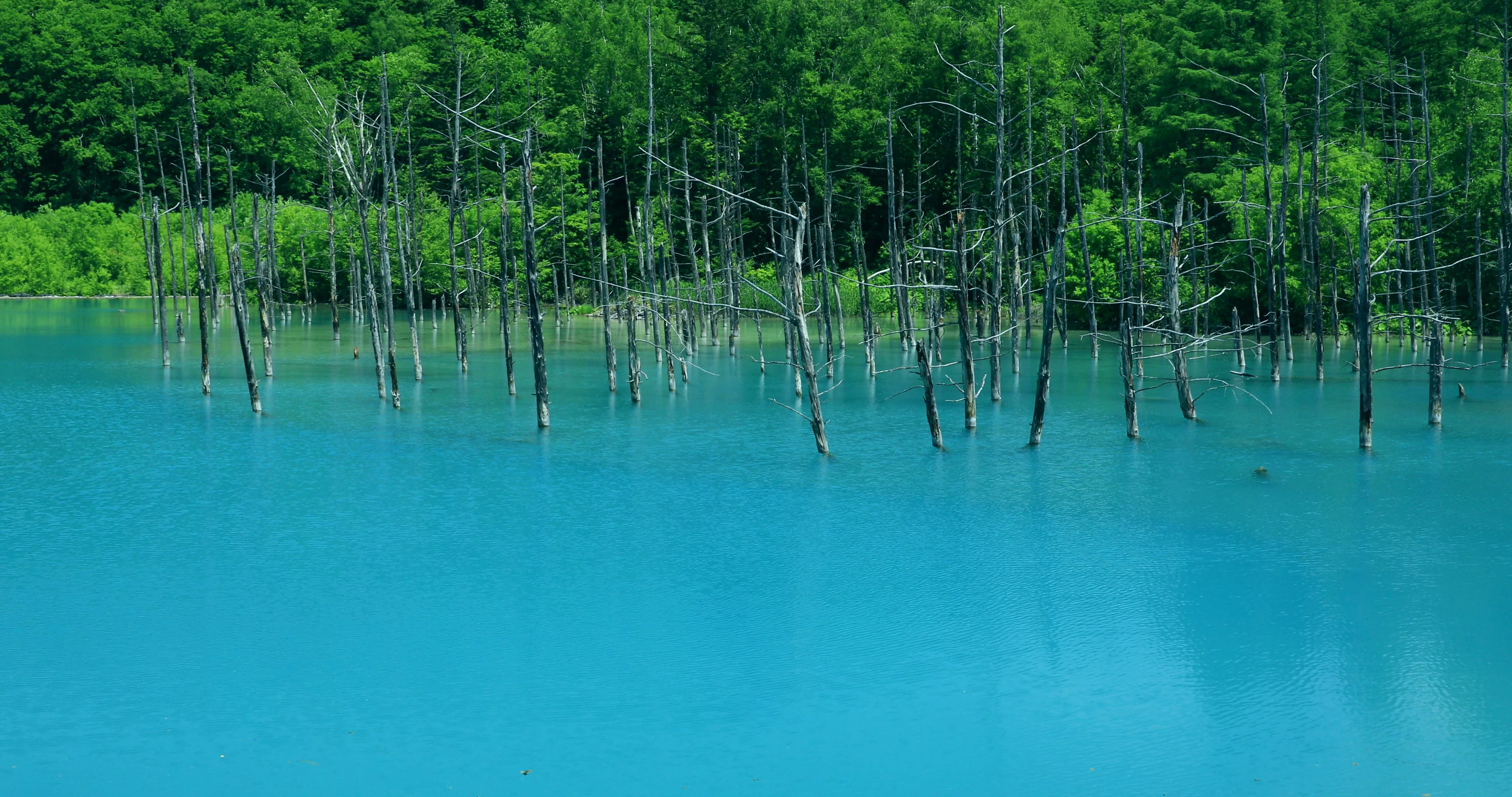 Blue Pond Hokkaido Japan Stock Video Pond5