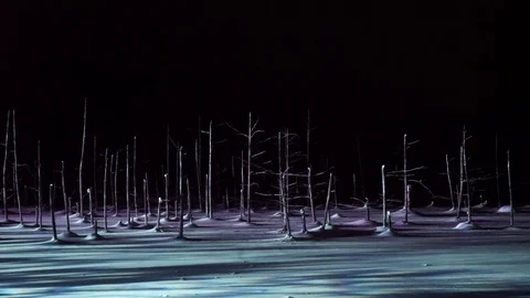 Blue pond illumination light up in winter night at Biei, Hokkaido, Japan. Video stock 73028519