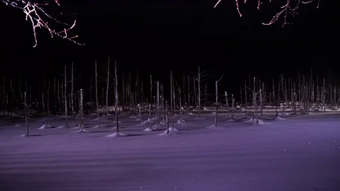 Blue pond illumination light up in winter night at Biei, Hokkaido, Japan. Video stock 73029036