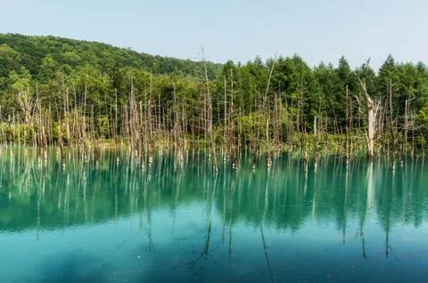 Blue pond Stock Photos
