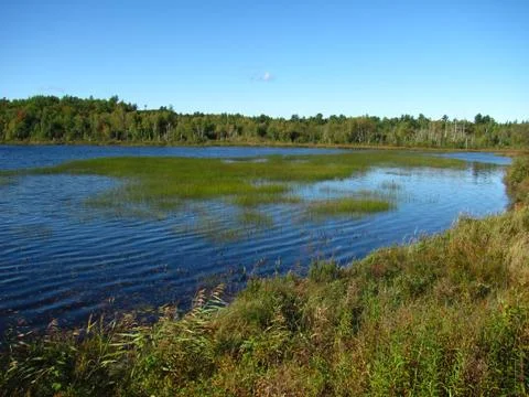 Blue Pond 스톡 사진