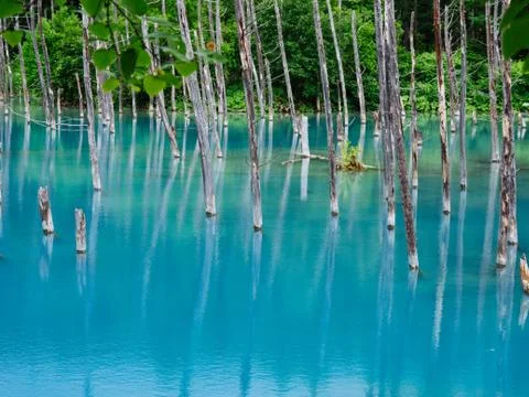 Blue Pond Stock Photos
