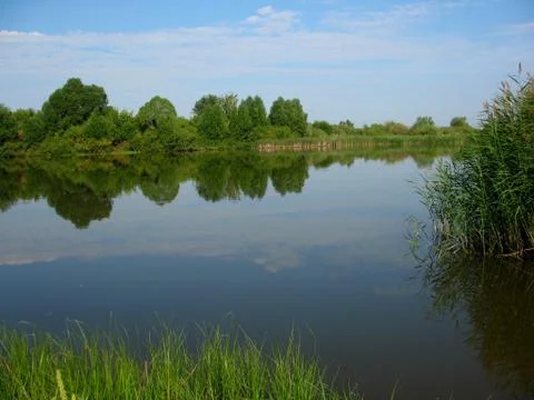 Blue pond Stock Photos