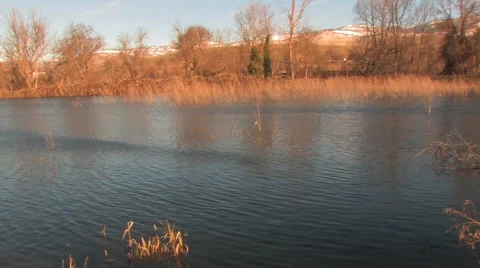 Blue Pond in the Winter Stock Footage 1000472