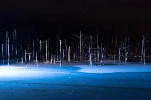 Blue Pond in winter Stock Photos