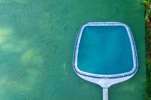 A blue pool cleaning net over a a green surface Stock Photos