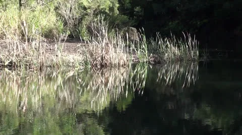 Blue Pool Stock Footage 26421360