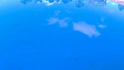 Blue pool Stock Footage 127471323