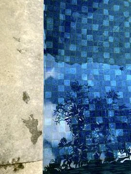Blue Pool Tile Texture and Tropical Shadow Reflections Stock Photos
