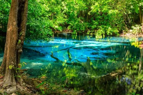 Blue Pool, turquoise crystal clear spring hidden in middle of forest, Krabi.. Fotos de archivo