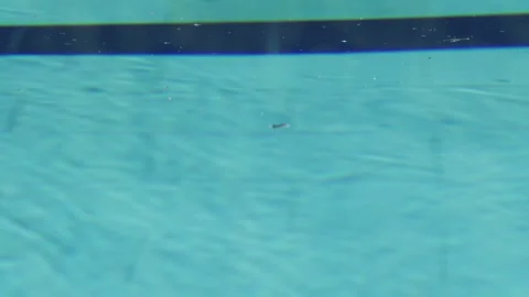 Blue Pool Water Ripples Moving Gently in Summer Light Stock Footage 332249802