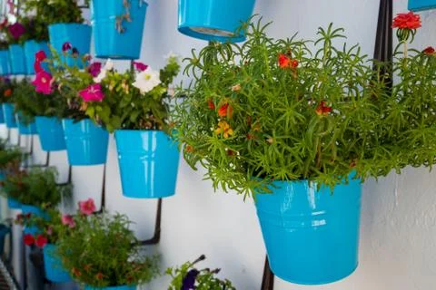 Blue pots Stock Photos