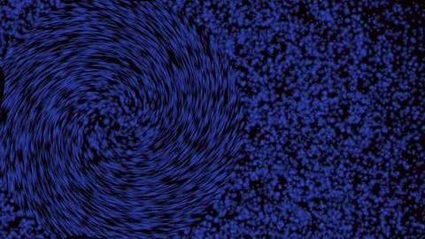 Blue Powder Particles Swirling Motion Abstract Background with Clean Copy Spa Video stock 342522227