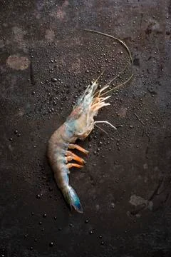 A blue prawn Stock Photos