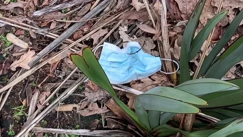 Blue protective face mask in the bush Video stock 207914826
