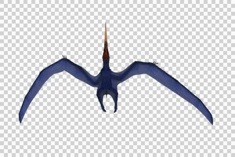 Blue Pteranodon in flight viewed from above. 3D illustration isolated. Stock Illustration