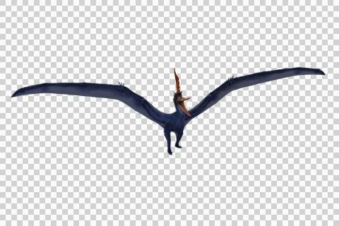 Blue Pteranodon standing with wings spread and mouth open. 3D illustration .. Stock Illustration