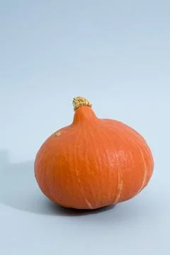 Blue Pumpkin Stock Photos