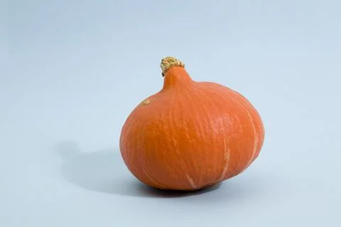Blue Pumpkin Stock Photos