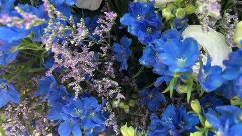 Blue Purple and White Spring Flowers Stock Footage 332259710