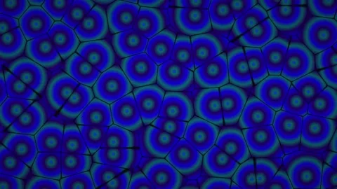 Blue Purple Cellular Circles Abstract Motion Background Stock Footage 346112030