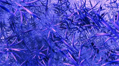 Blue purple complex structures  Video stock 22154921
