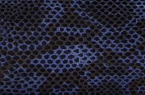 Blue python snake skin Blue python snake skin texture background. Copyrigh... Photos
