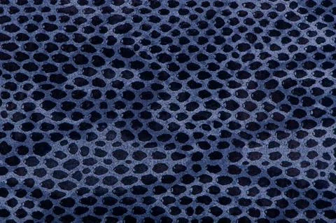 Blue python snake skin 스톡 사진