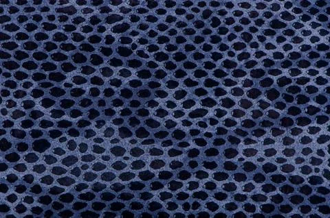 Blue python snake skin 스톡 사진
