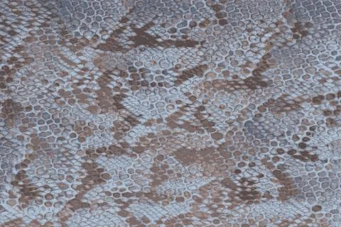 Blue python snake skin with scales and texture Stock Illustration