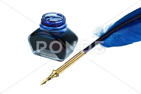 Blue quill Stock Photos