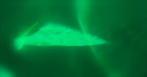 Blue, red and green Light Leak overlay on black background. Spherical Optical Stock-Footage 219027498