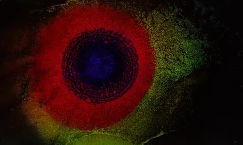 Blue red gold ink pattern macro. The Helix Nebula. Eye of God. Liquid marble Stock Photos
