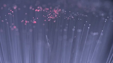 Blue, red, green glowing optical fibres Stock Footage 110830364